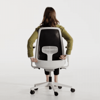 air-flex3.gif